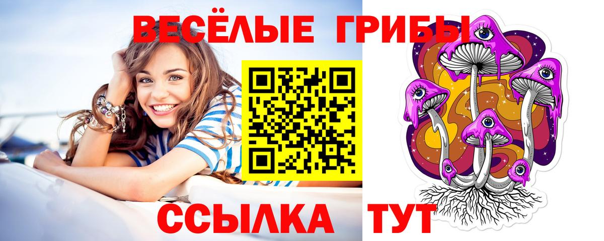 Псилоцибиновые грибы прущие грибы  Вход с VPN  Псилоцибиновые грибы GOLDEN TEACHER  Городец 